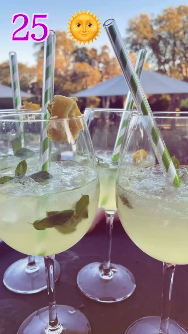 Cocktails in hand by the swimming pool, laughter in the air, and the sweet scent of lavender and jasmine all around.
Warm breezes, golden light, and the kind of moments you wish could last forever. 🌿🍹#southoffrance #chateau #flowers #summervibes #holiday #relax #bedandbreakfast #luxury #cocktails
