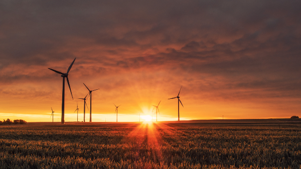 Senior Business Consultant Energietransitie