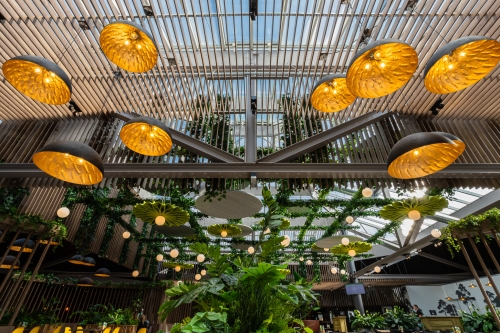 Interior Collective Via Verde