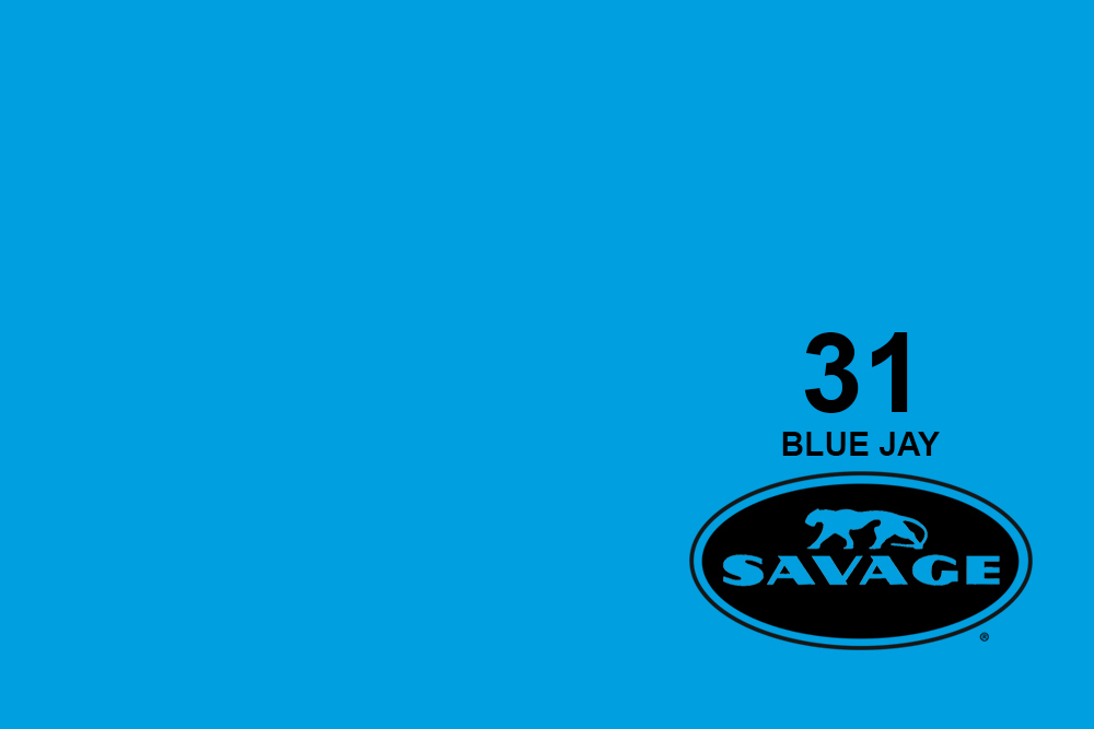 savage-31-blue-jay-background-paper