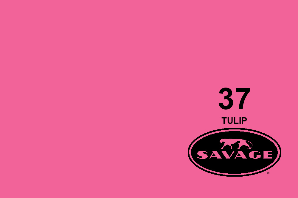 savage-37-tulip-background-paper