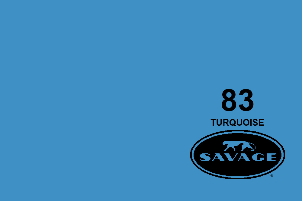 savage-83-turquoise-background-paper