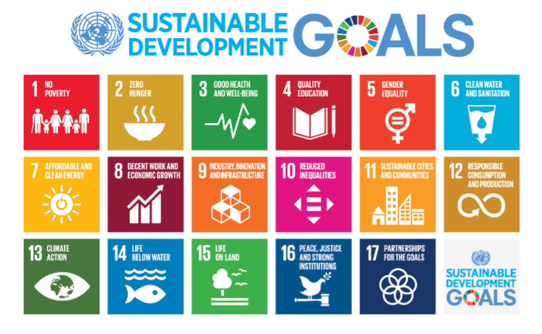 how-can-you-apply-sdgs-within-your-business-the-good-roll