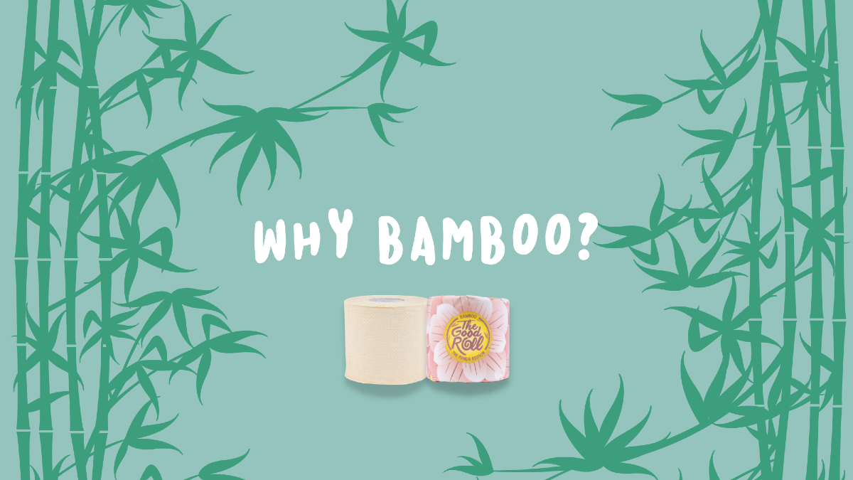 Bamboo vs. Recycled Toilet Paper: Which is Better?