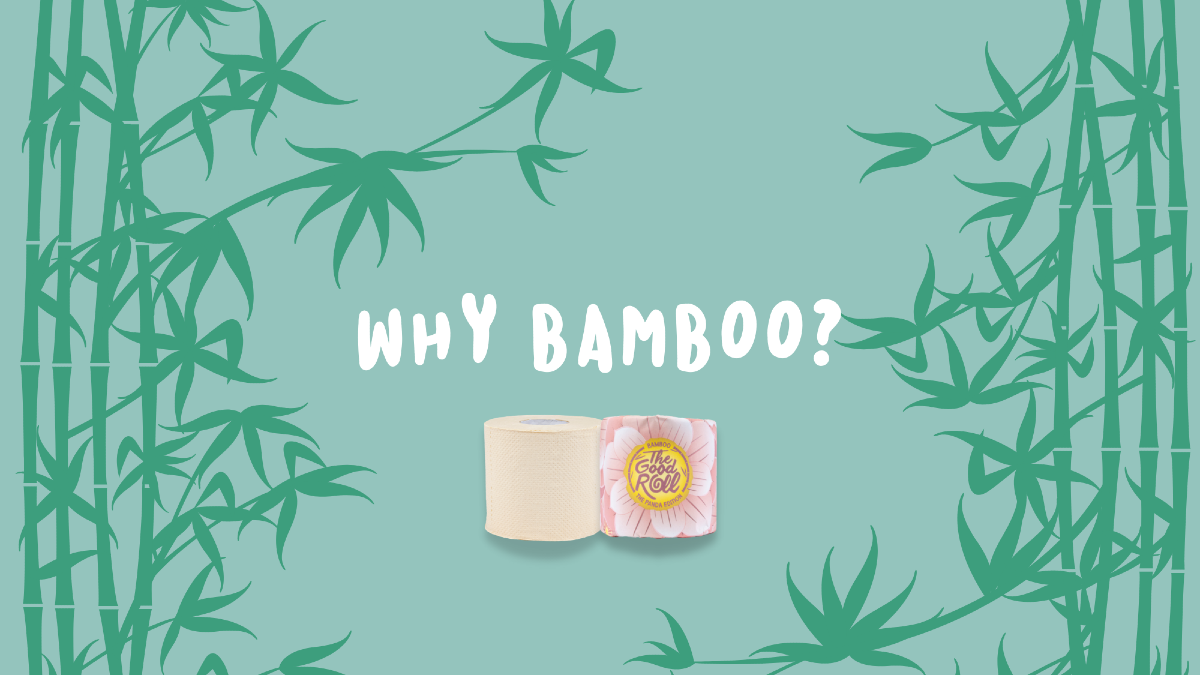 Is Bamboo Sustainable & Is Bamboo Toilet Paper Better?