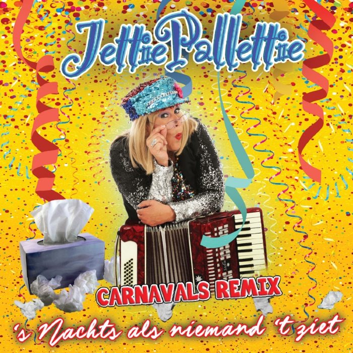 's Nachts als niemand 't ziet - Carnavals Remix