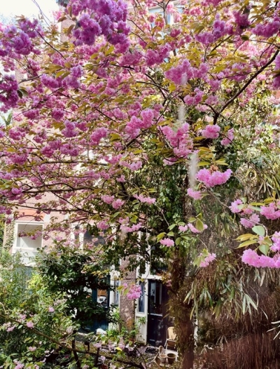 Lindengracht 186, Amsterdam Lengers Housing