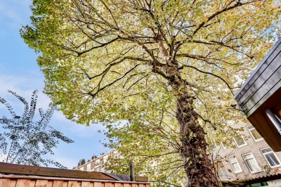 Overtoom 502H, Amsterdam Lengers Housing