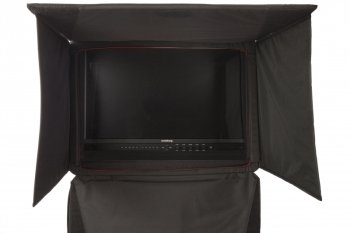 FSI 21.5" Monitor