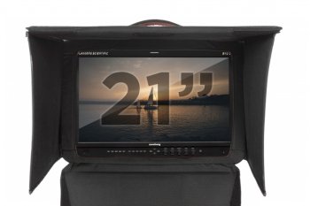 FSI 21.5" Monitor