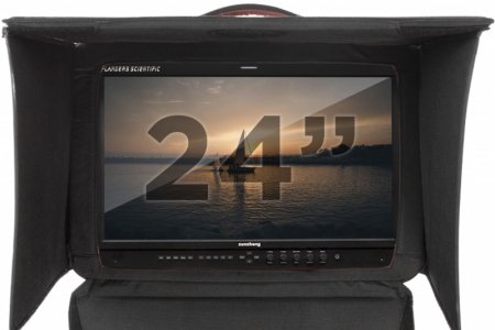 FSI 24" Monitor