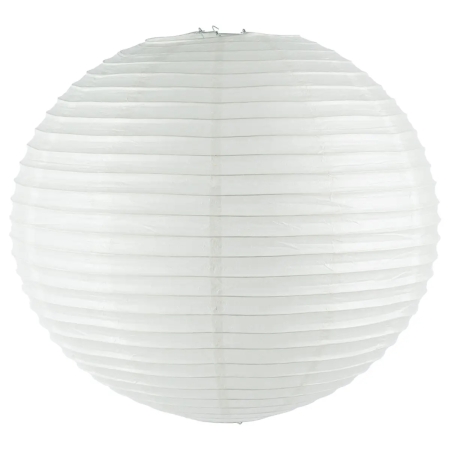 Chinese Bol - Medium Chinese Bol - Medium