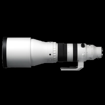 Sigma 300-600mm F4 DG (E)