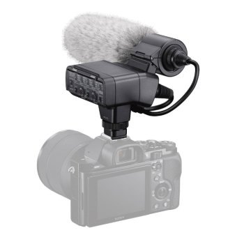 Sony XLR-K2M Adapter