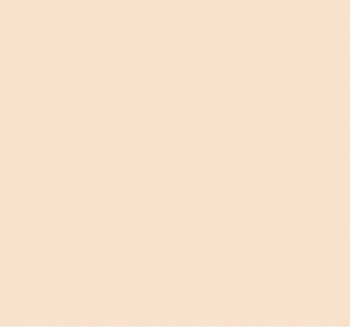 1/4 CTO Roll (206)