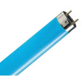 TL Buis 58W Blauw