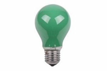 E27 25W Bulb - Groen