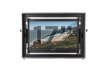 Sony 17" OLED Monitor