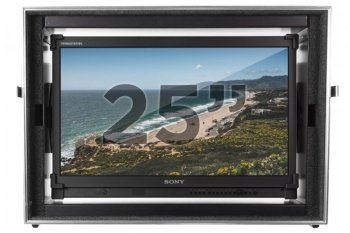 Sony 25" OLED Monitor