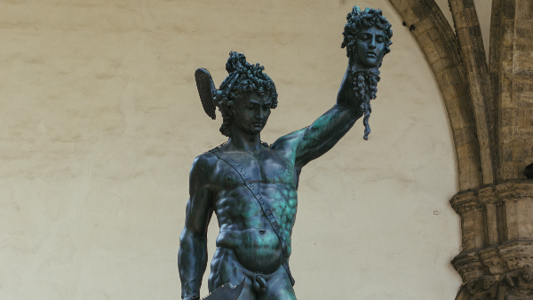 Stichting Perseus - Bestuurslid (platform)