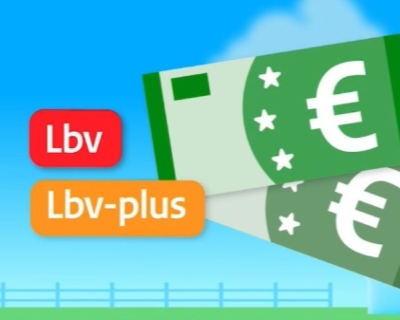 LBV-plus regeling