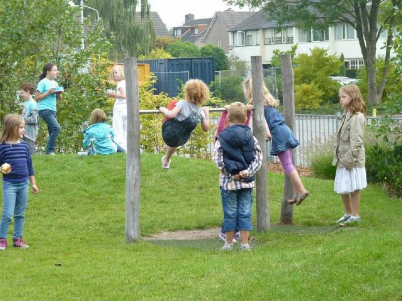 160 groene schoolpleinen
