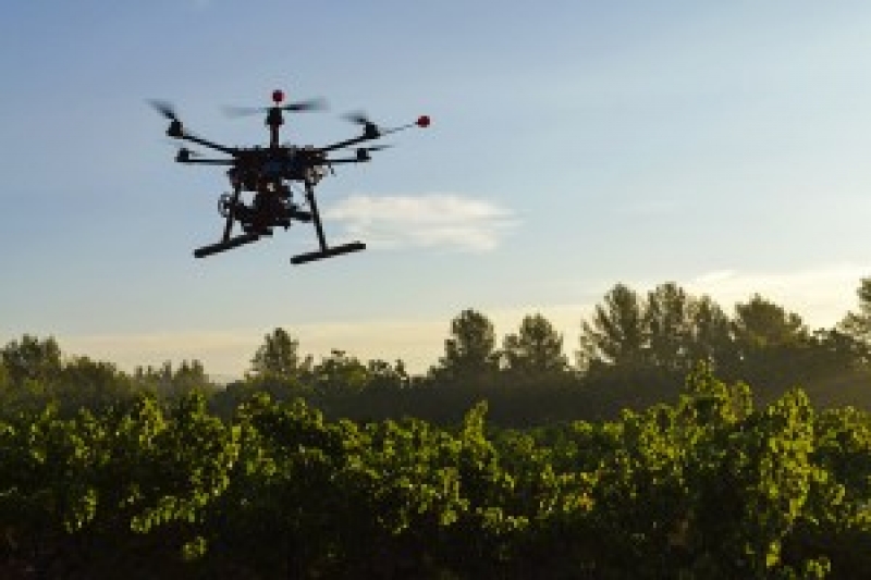 Drones, bossen en potentiële klanten