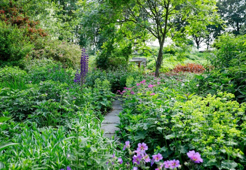 Check je tuin