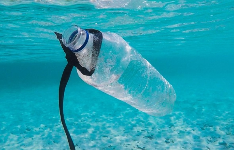 Petpanelen goed voor de oceaan