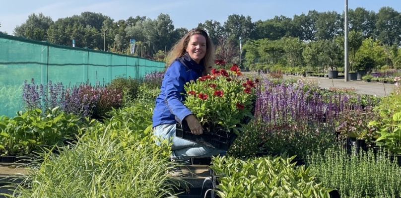 ‘Kies ook eens voor minder bekende planten’