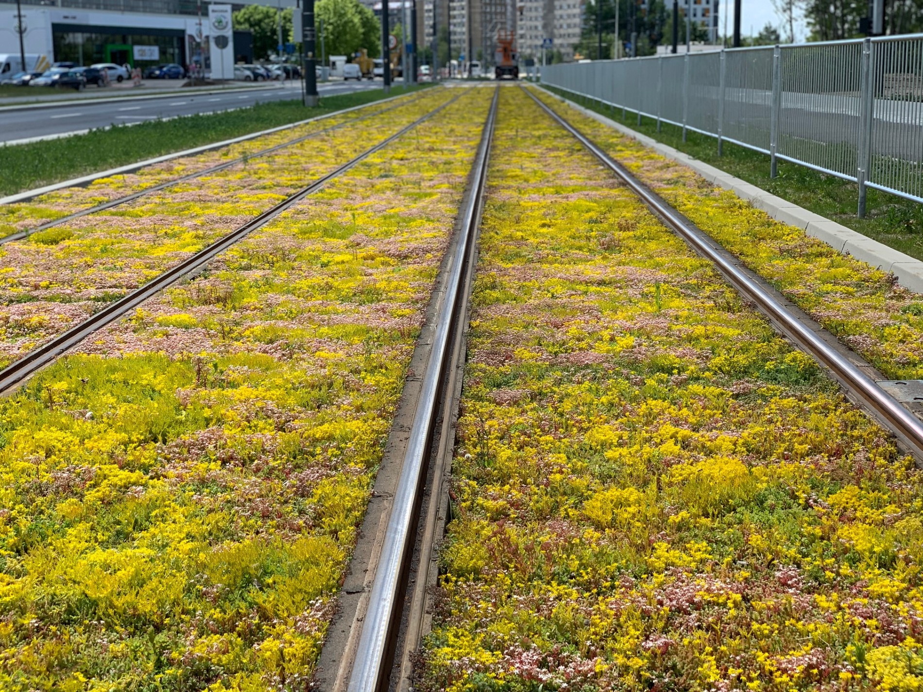 Groen spoor