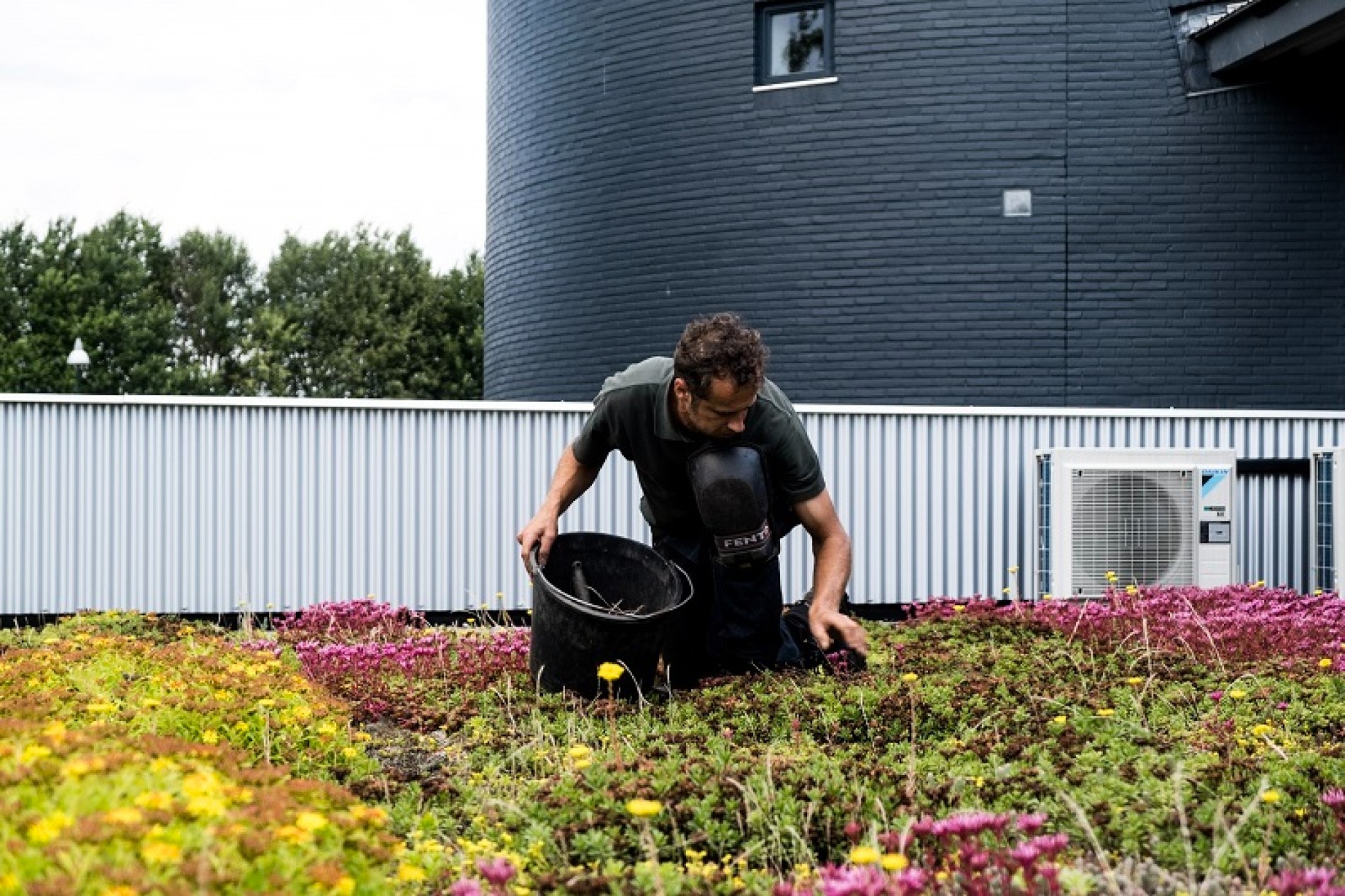 Docent wordt hovenier