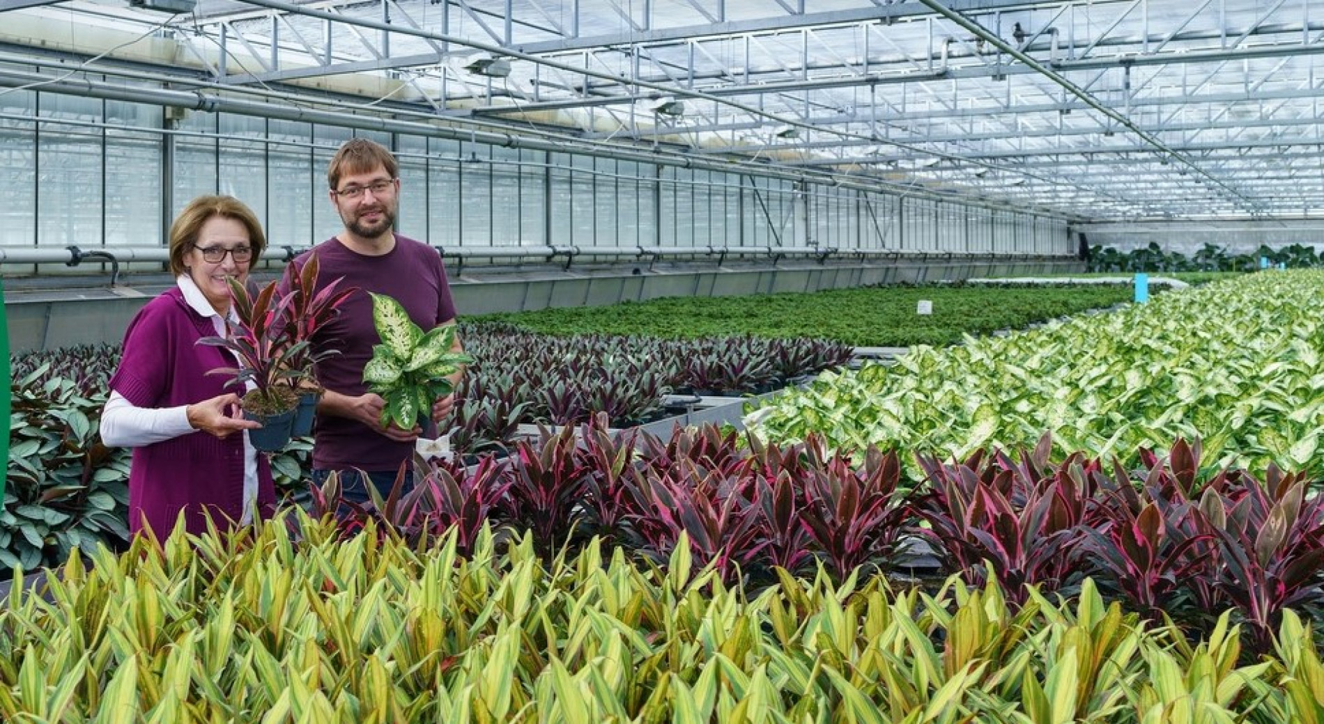 Plantion is voorkeurleverancier geworden van inkoopcollectief voor tuincentra Garden 