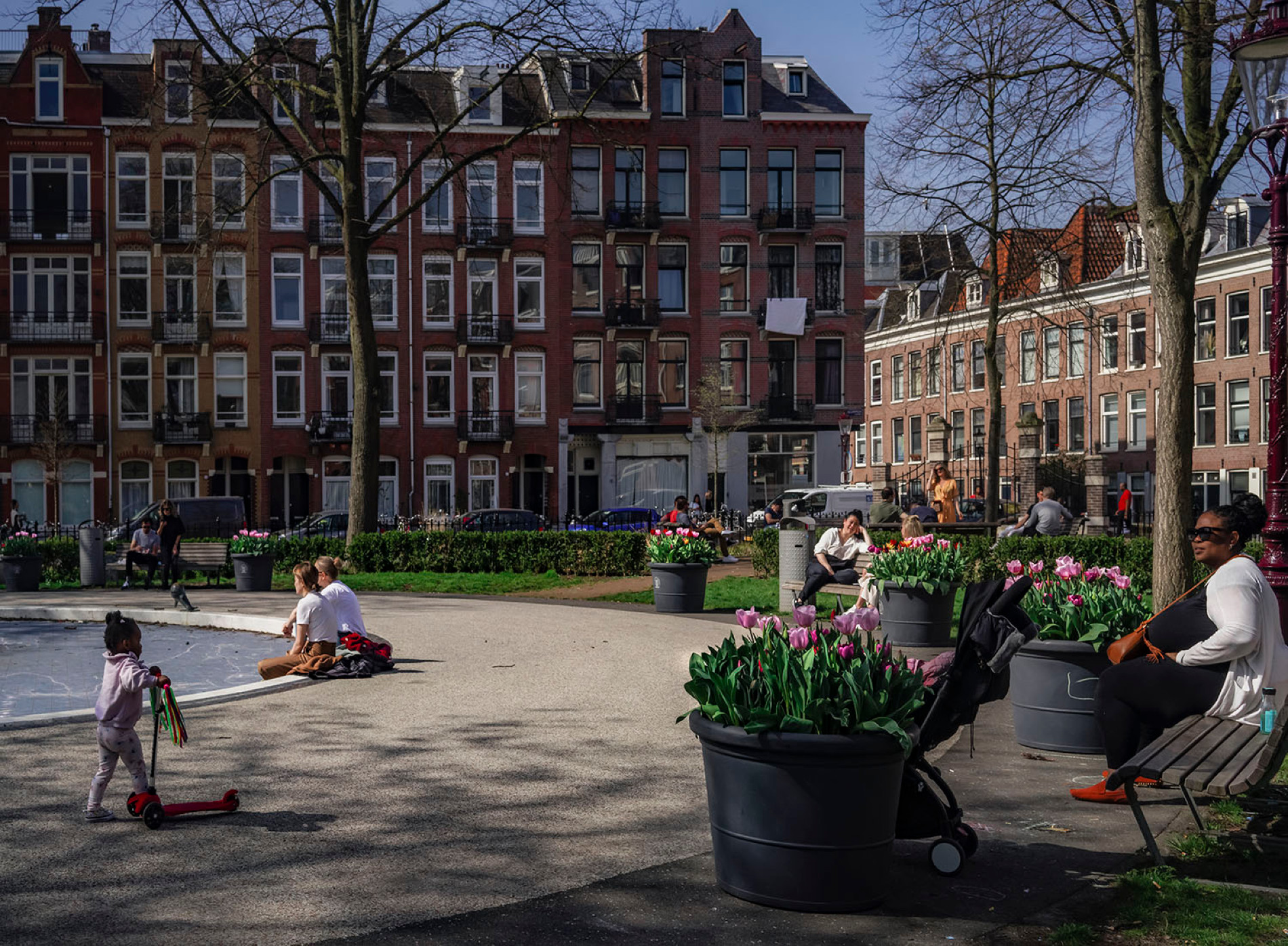 Tulp Festival geeft kleur aan Amsterdamse straten