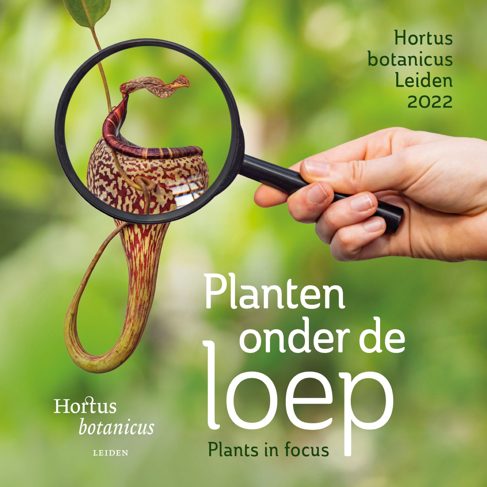 Hortus botanicus legt planten onder de loep