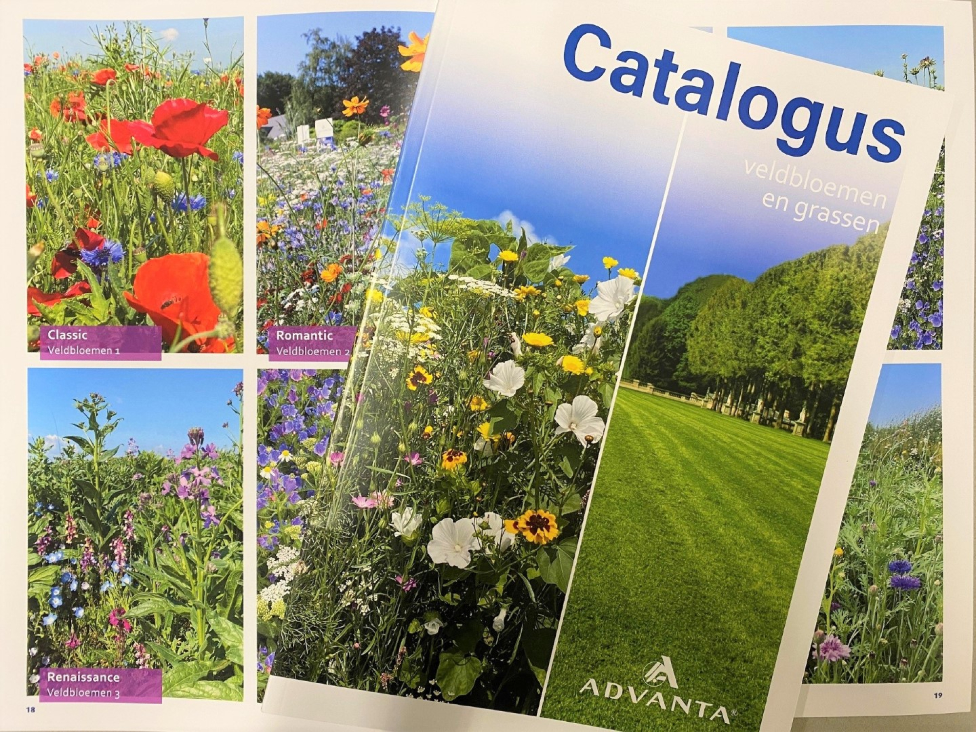 Nieuwe catalogus grassen en veldbloemen