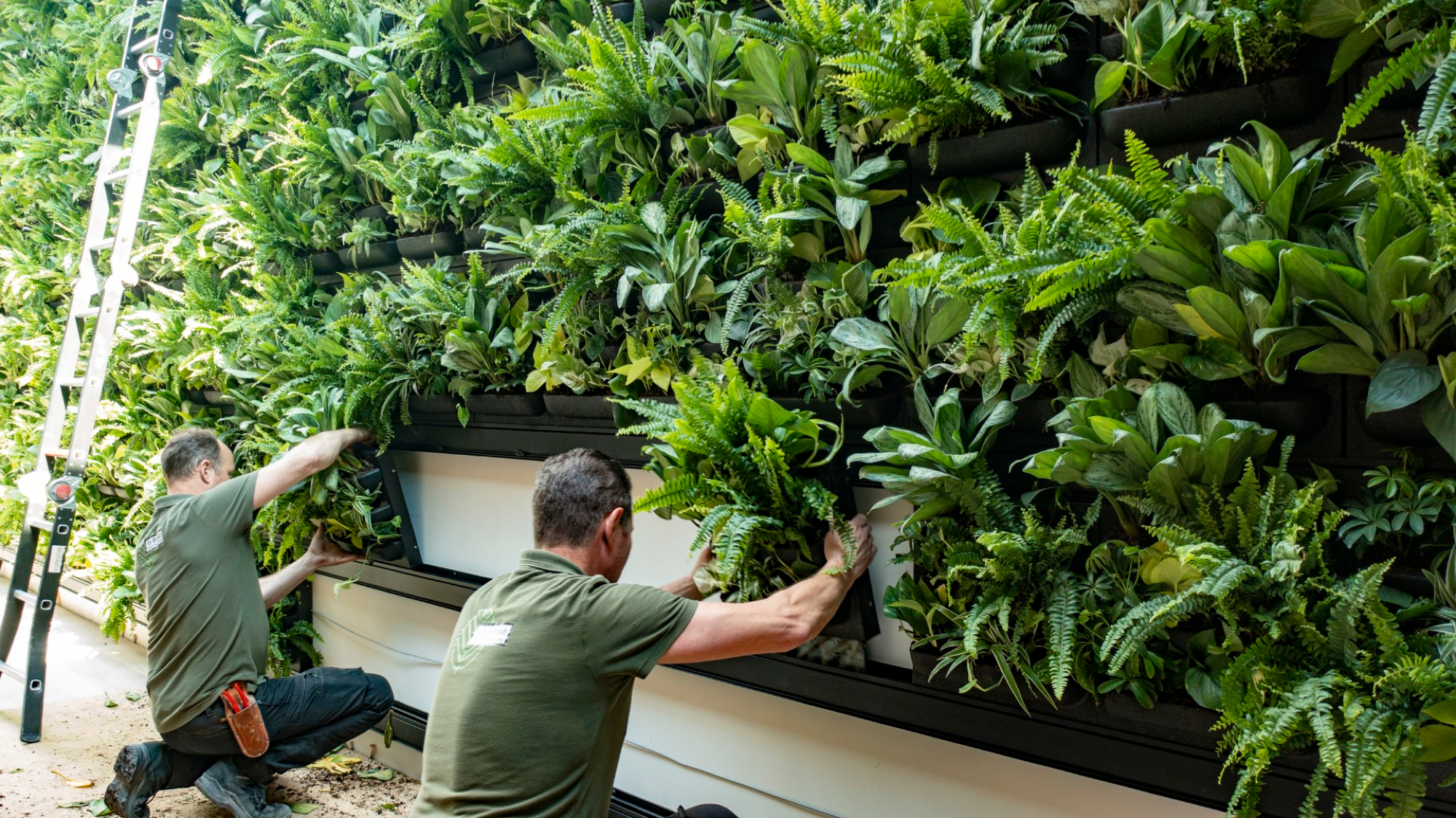 Duurzaam verticaal groen