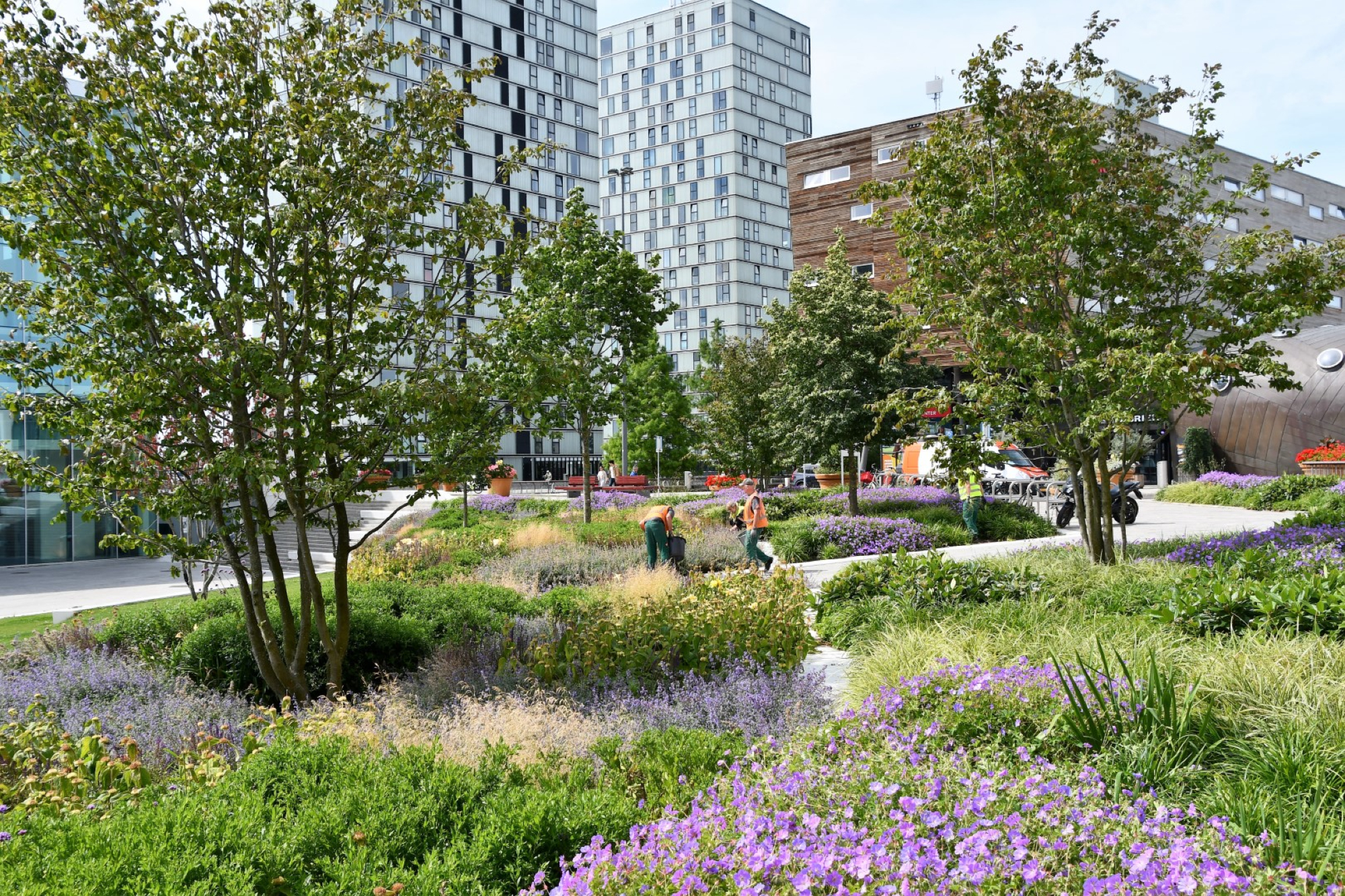 Zwaardere planten voor minder uitval