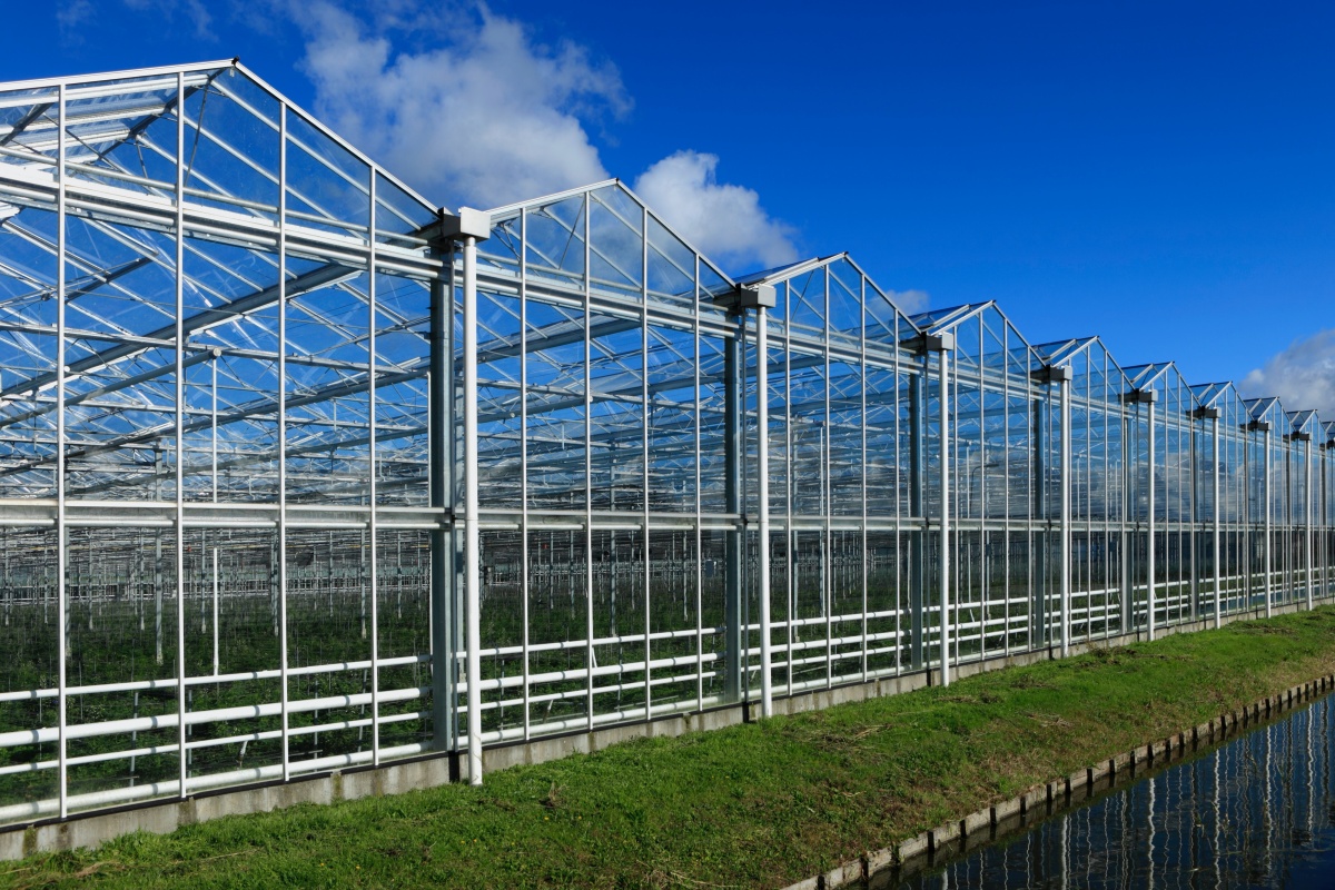 Hoogheemraadschap Delfland gaat restwater glastuinbouw collectief zuiveren