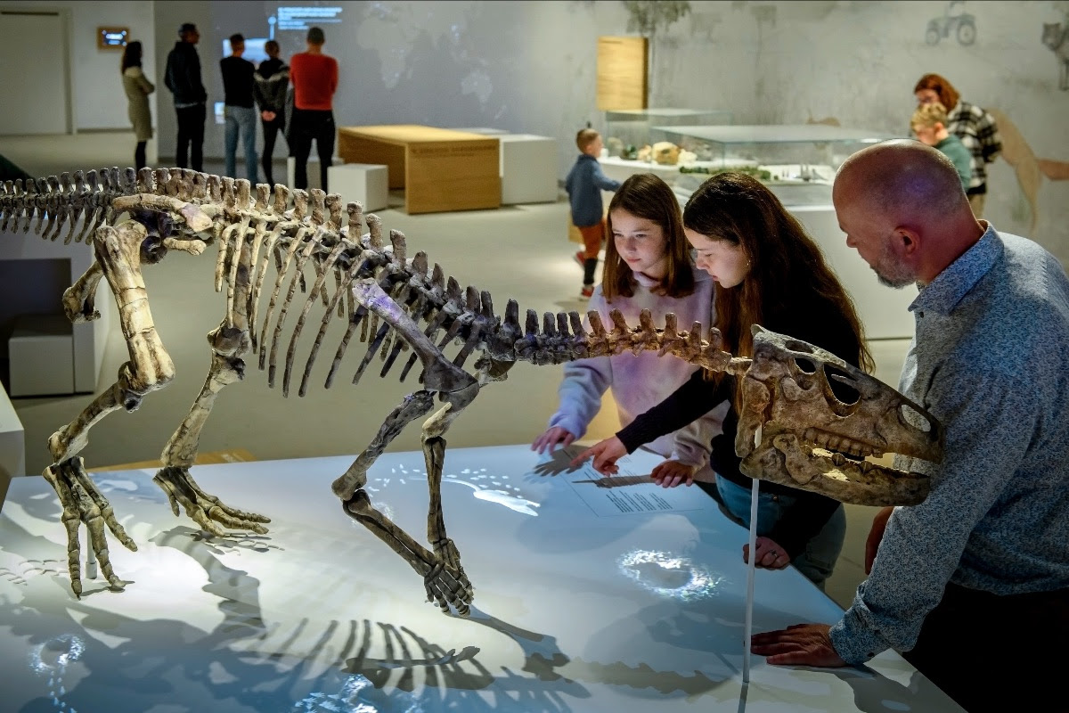 Stevns Klint Experience over dinosauriërs én oorsprong mens