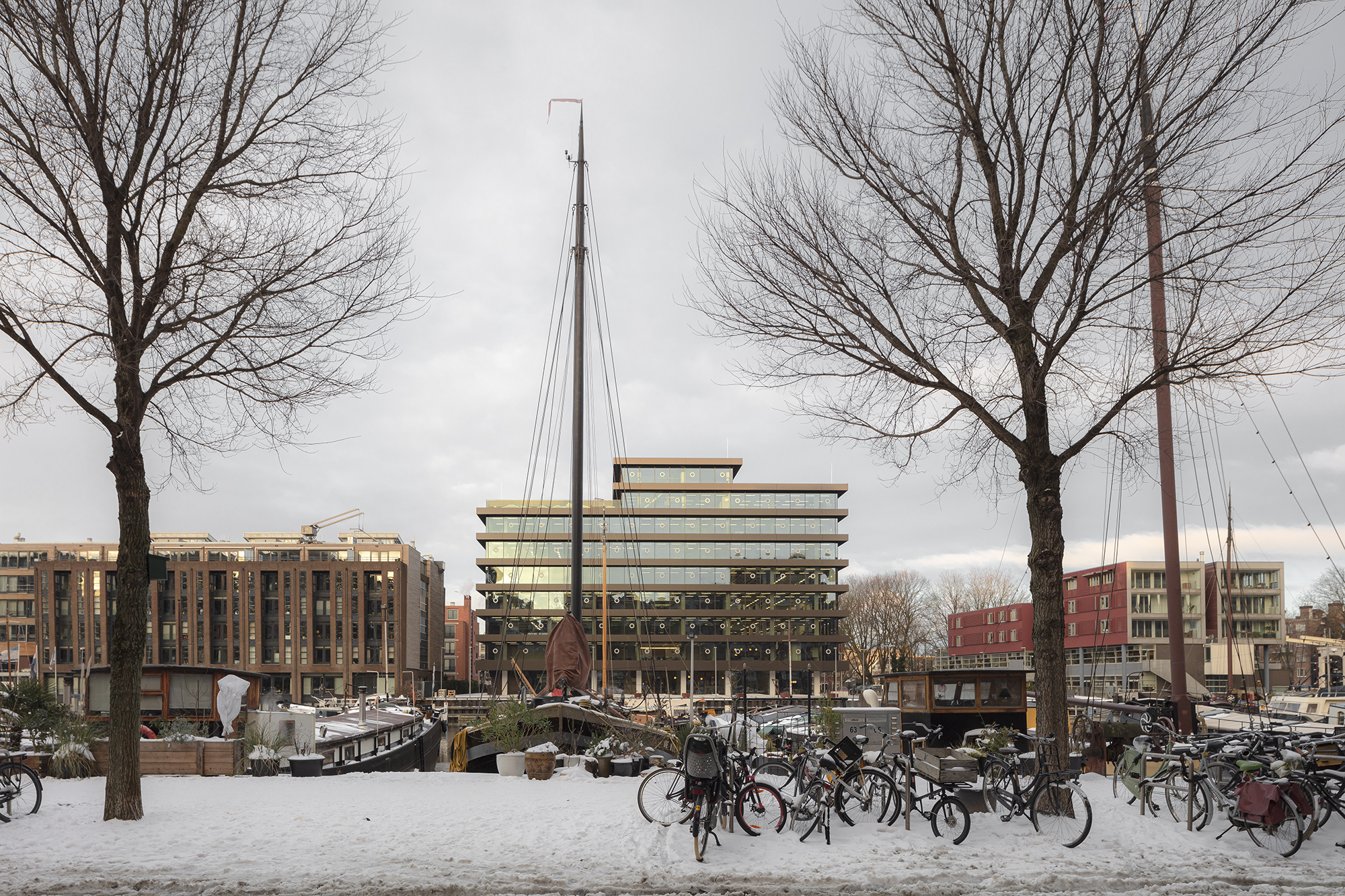 De Walvis: van bedreigend tot vriendelijk 