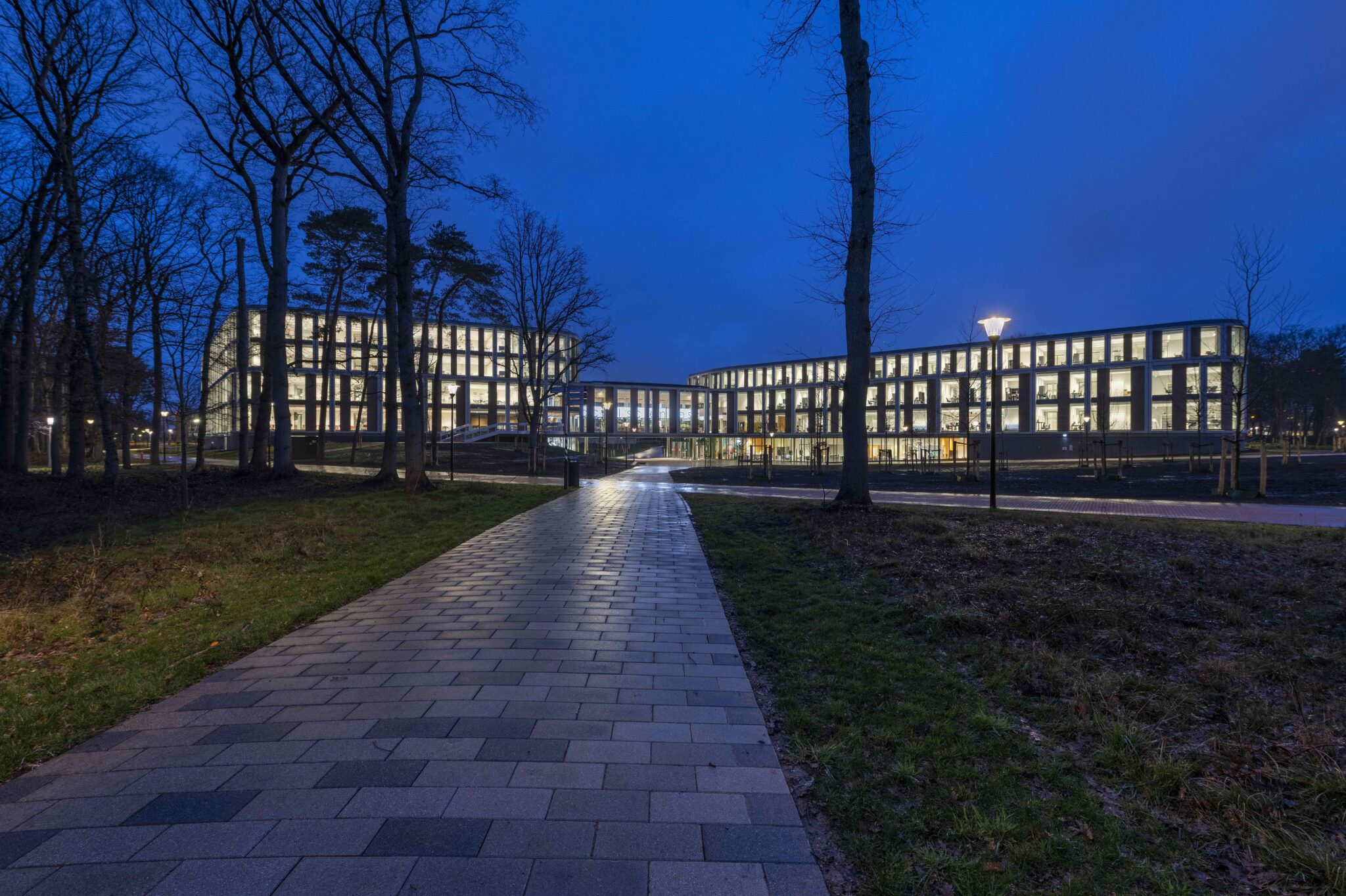 Maria Montessorigebouw: studeren tussen de bomen