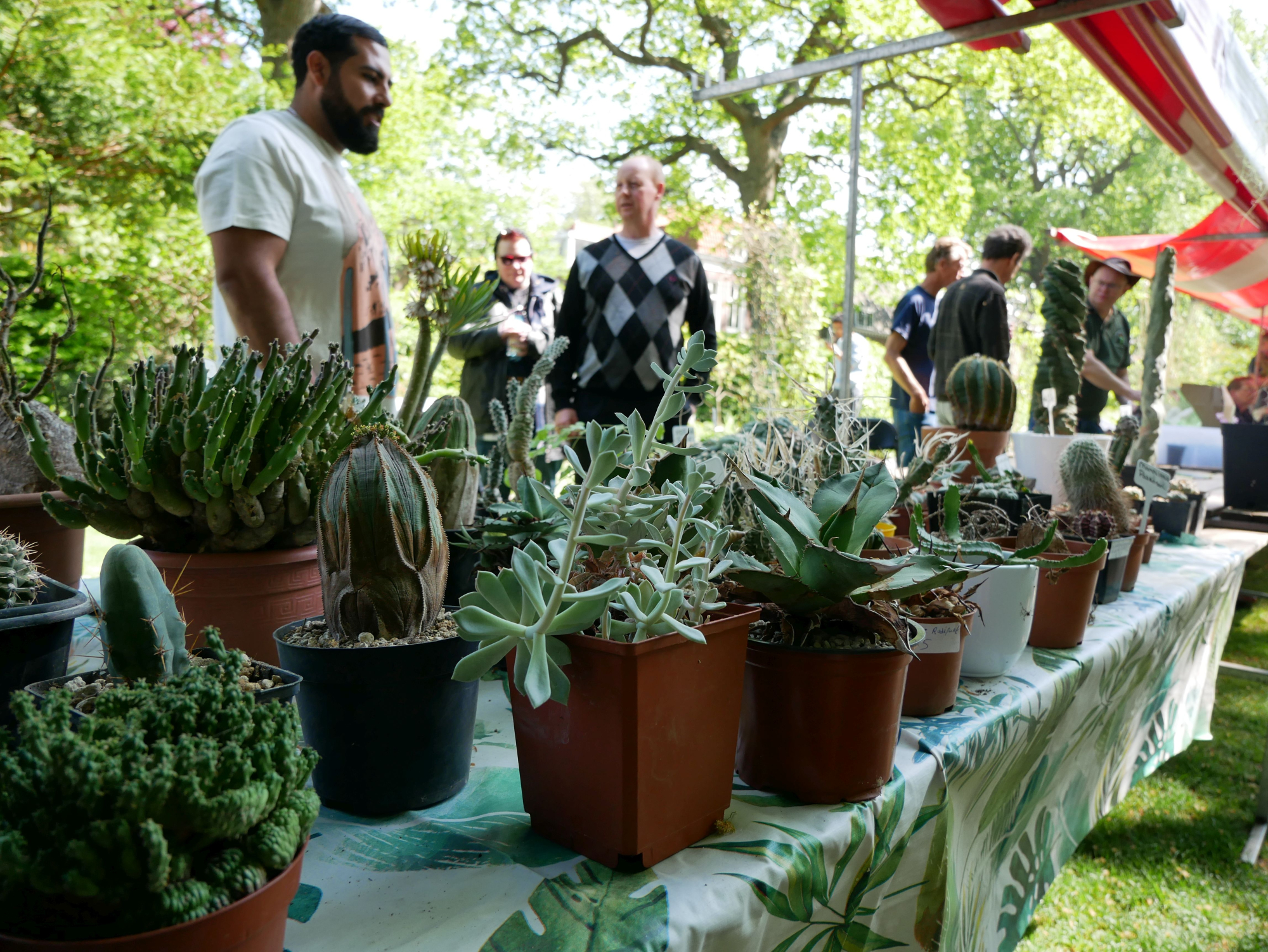 Hortus botanicus Leiden organiseert Plantenmarkt op 13 mei