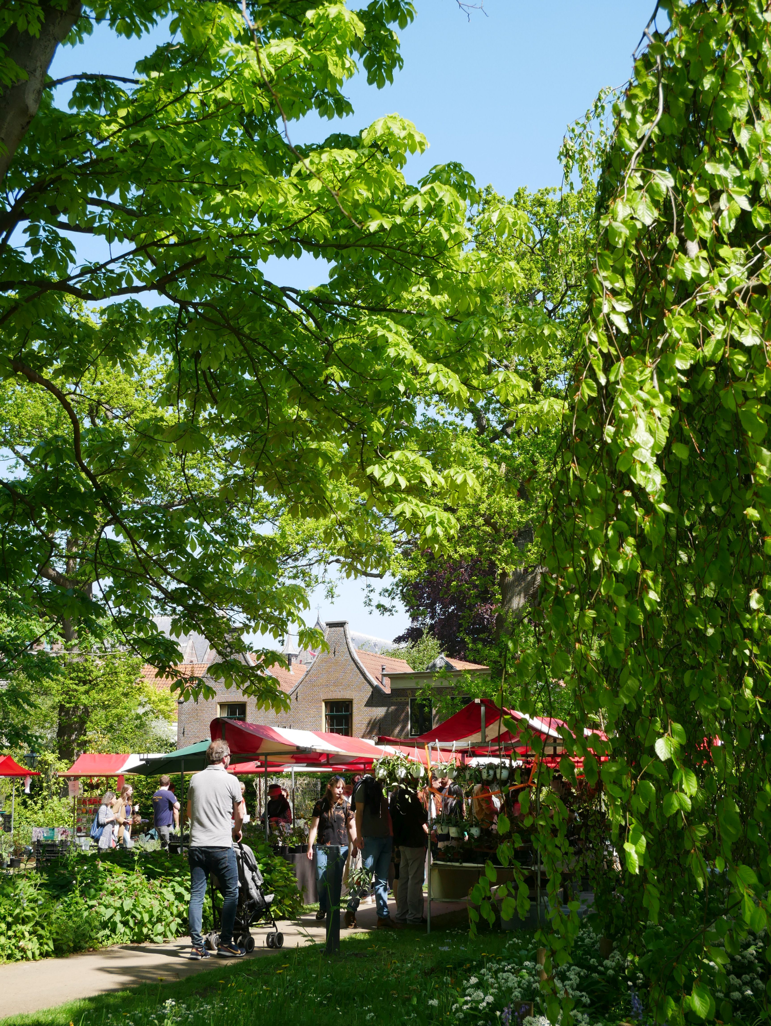 Hortus botanicus Leiden organiseert Plantenmarkt op 13 mei