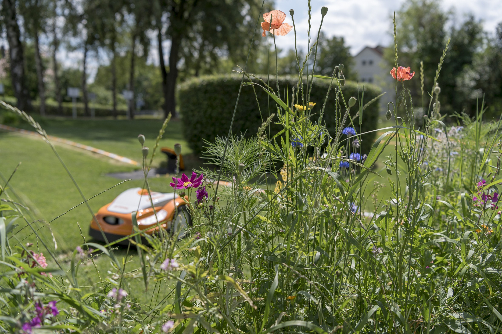 Tips om de biodiversiteit in je tuin te vergroten