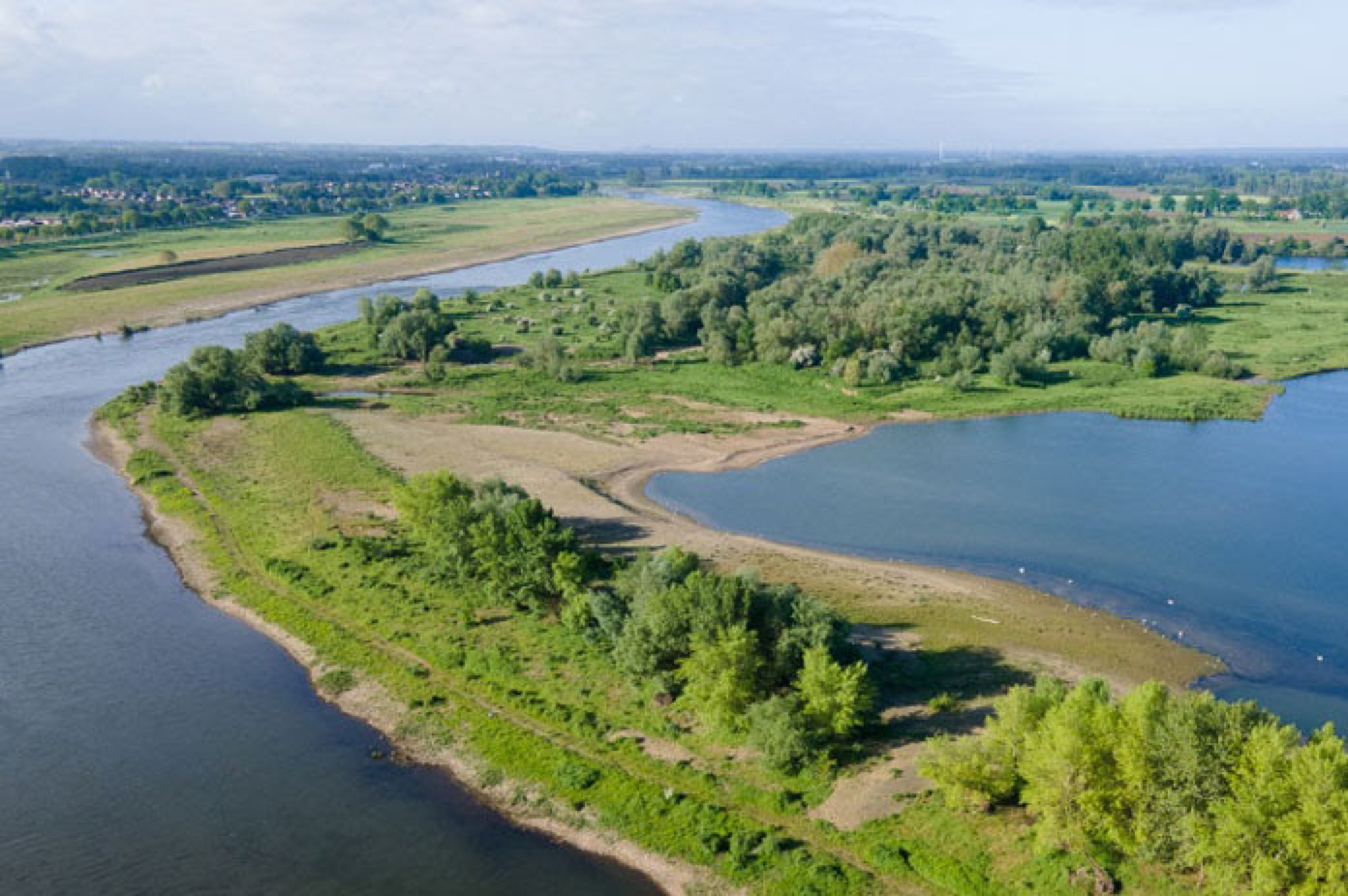 Duitse lof voor Grensmaas: Ein Fluss wird wild