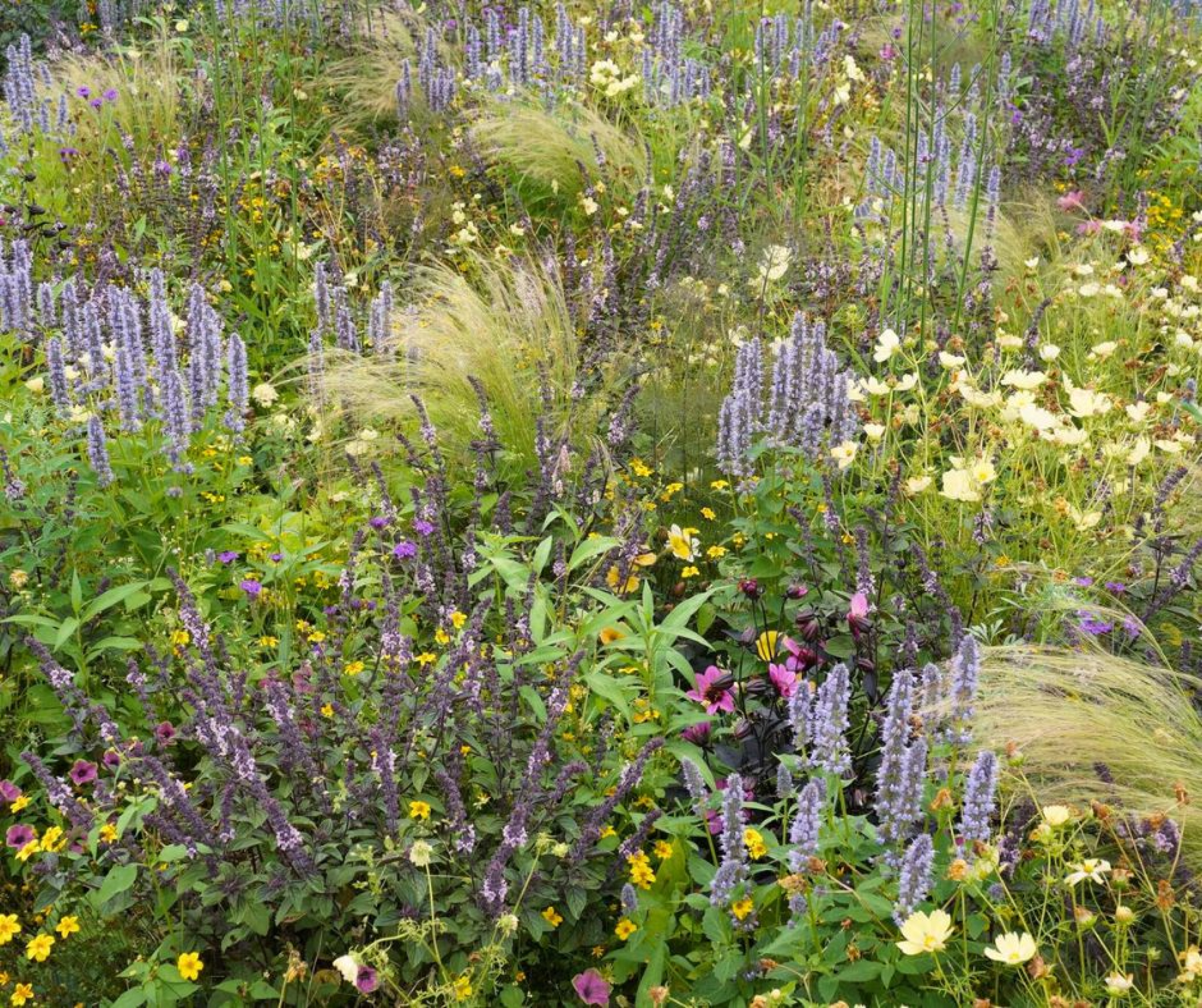 Wisselborders in Bloemenpark Appeltern