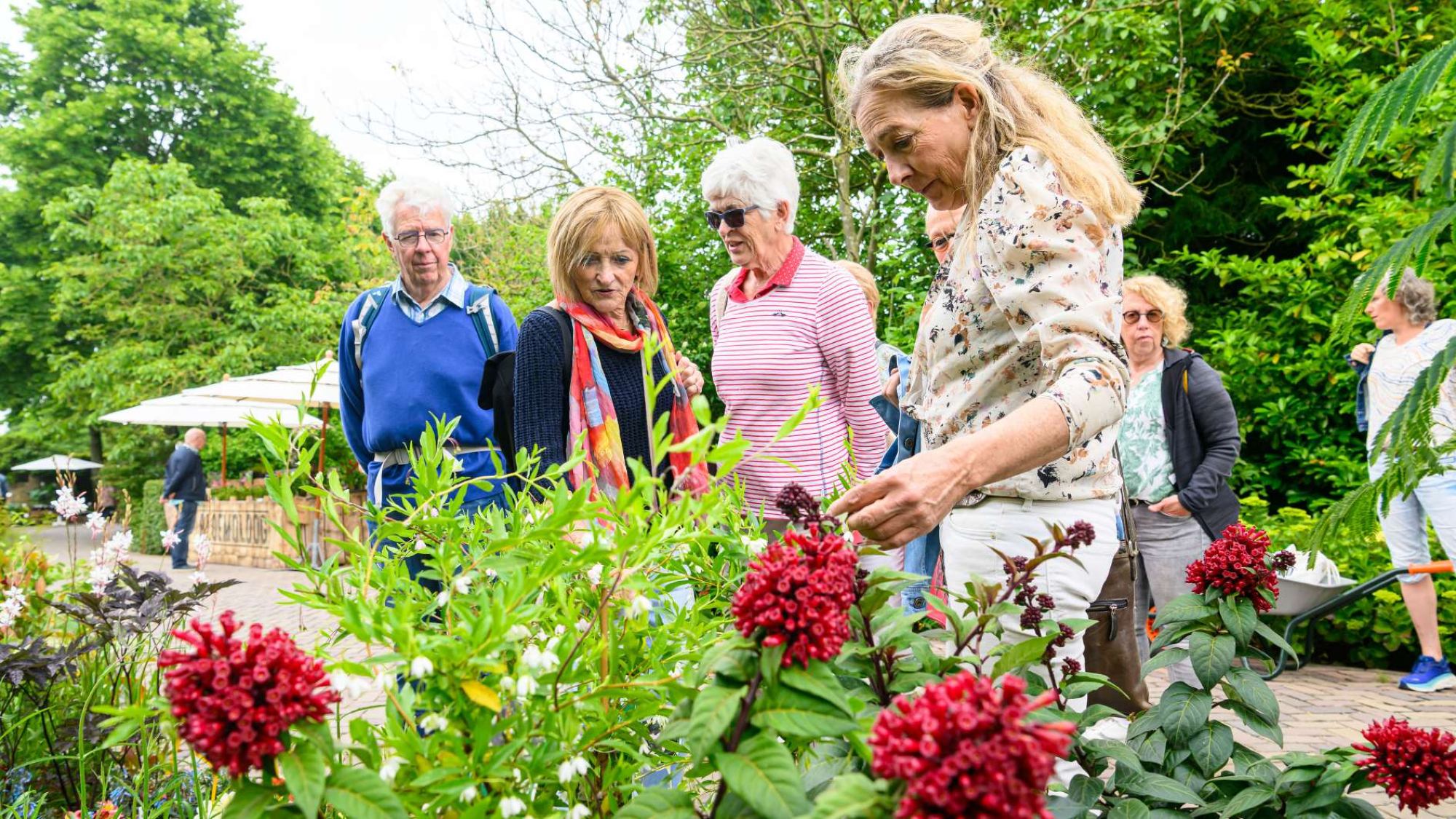 Bloemenpark Appeltern organiseert Tuingeluk met Planten