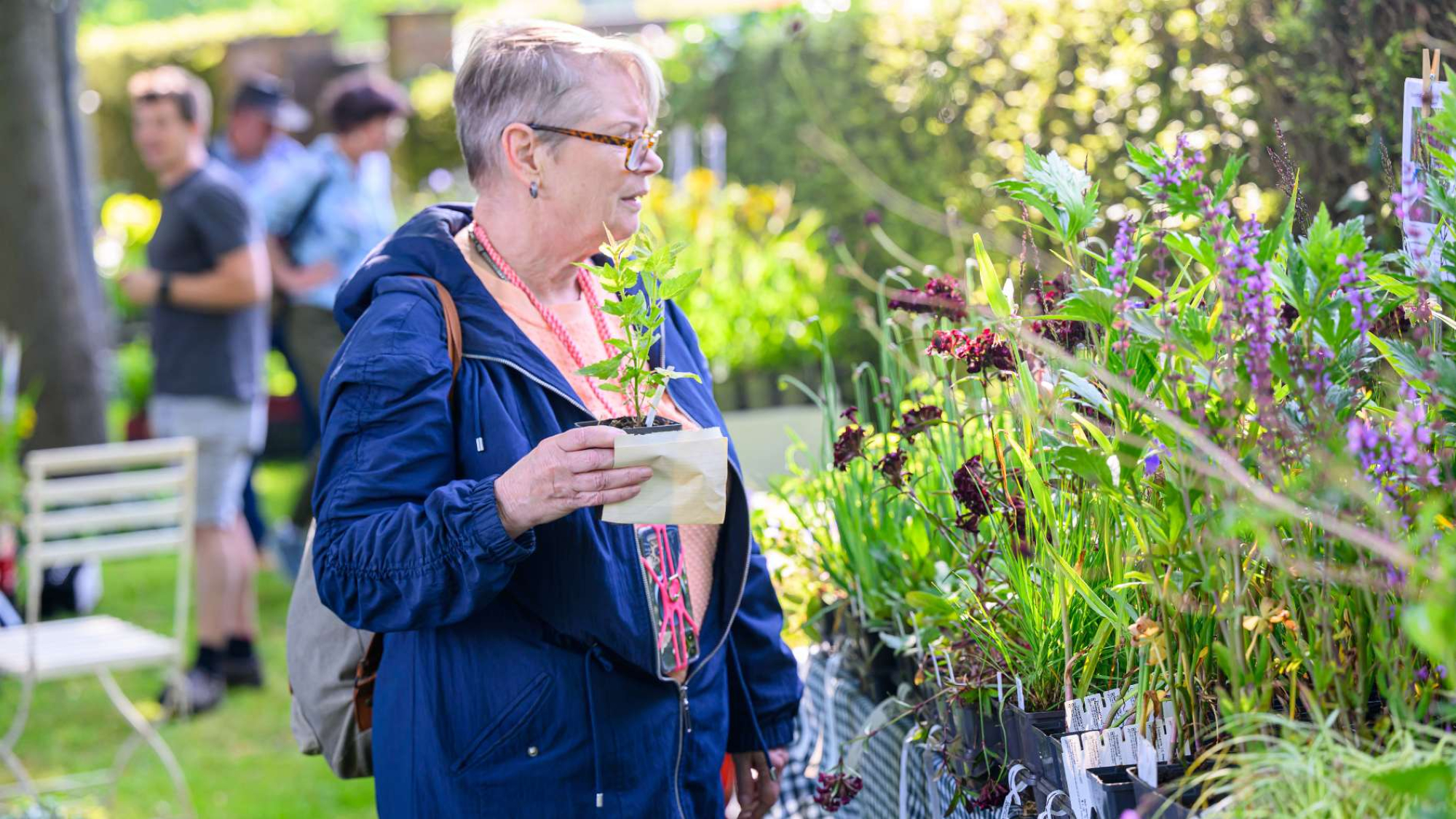 Bloemenpark Appeltern organiseert Tuingeluk met Planten