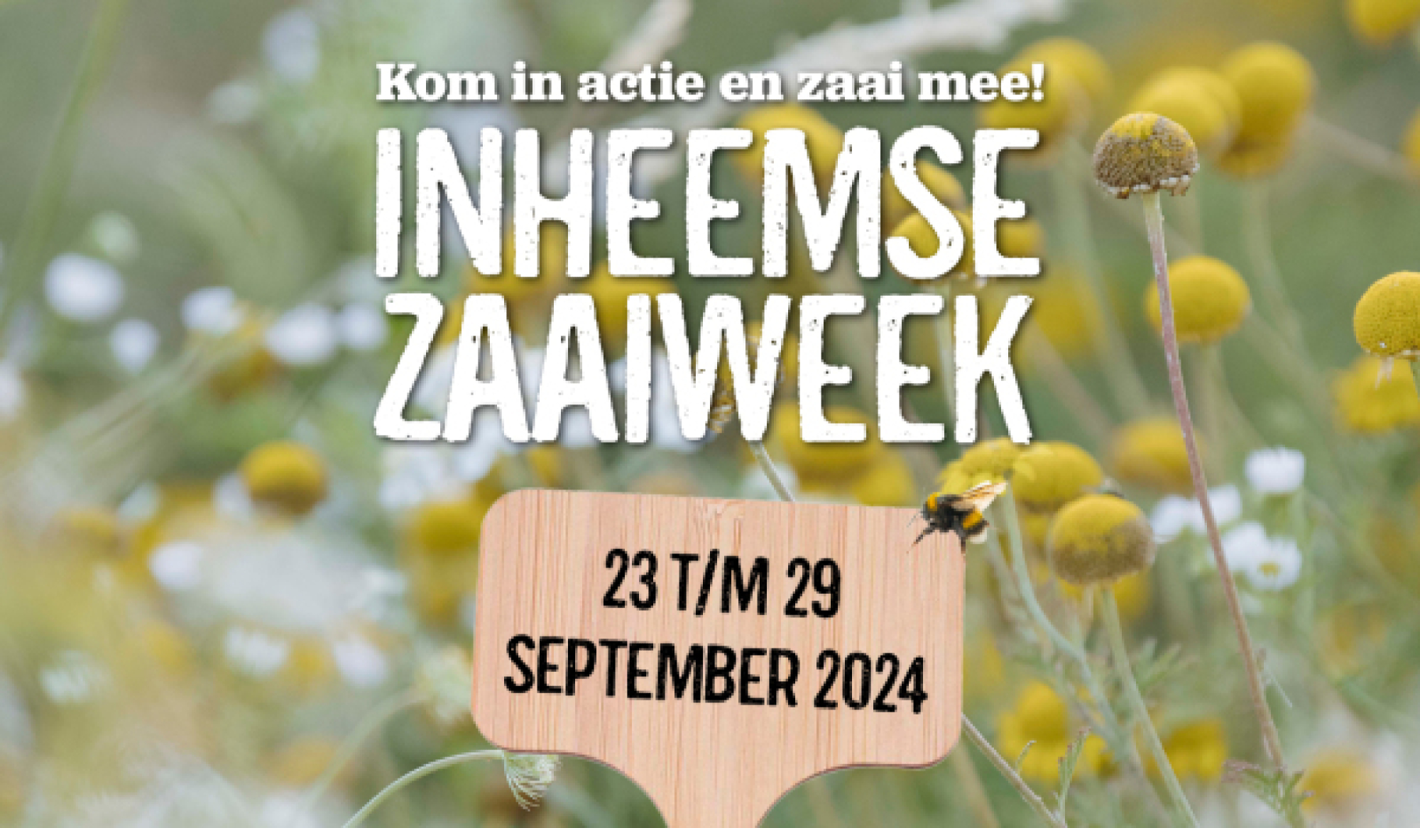 Zaaien voor de biodiversiteit in de Inheemse Zaaiweek